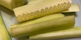 *SN: 6 Cucumber Spears, 3"x 1/2" ea (1/2 c VEG)