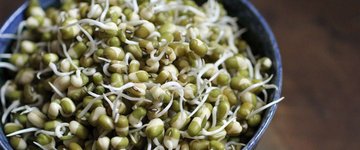 Sprouted Mung Beans