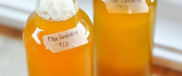 Homemade Kombucha