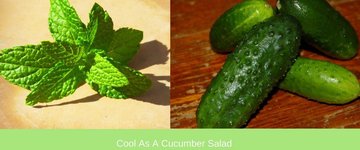 "Cool as a Cucumber" Mint Basil Salad