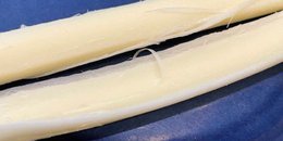 *LN 1/2 String Cheese Stick (1/2 oz M/A)