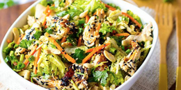 Pressed Napa Cabbage, Carrot & Black Sesame Salad