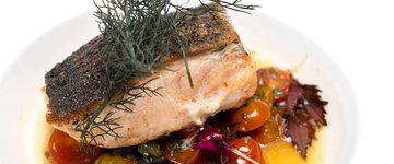 Mediterranean Salmon