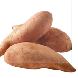 Sweet Potato, USDA