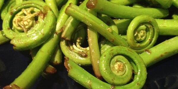 Steamed Fiddleheads