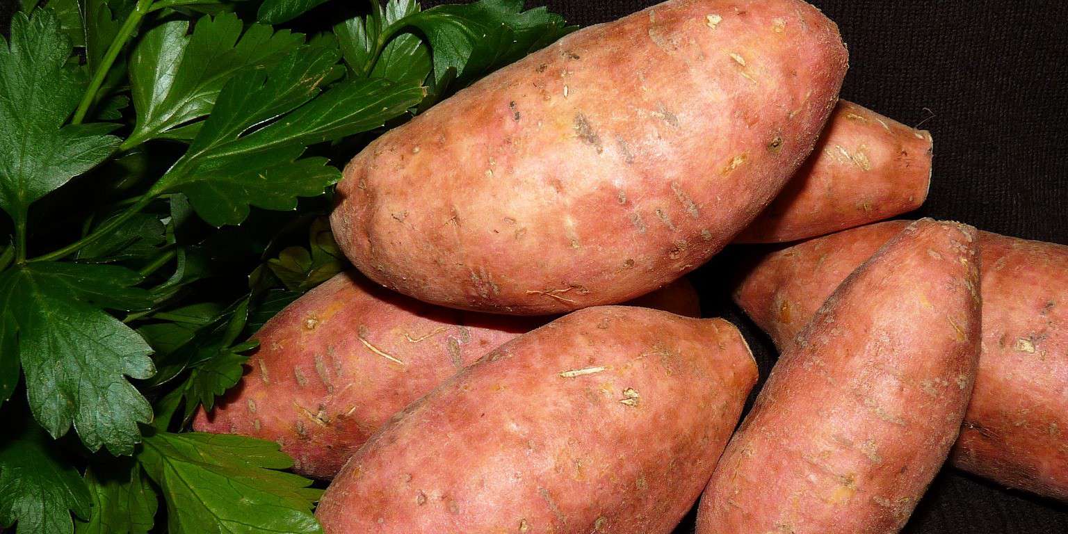 Baked Sweet Potato