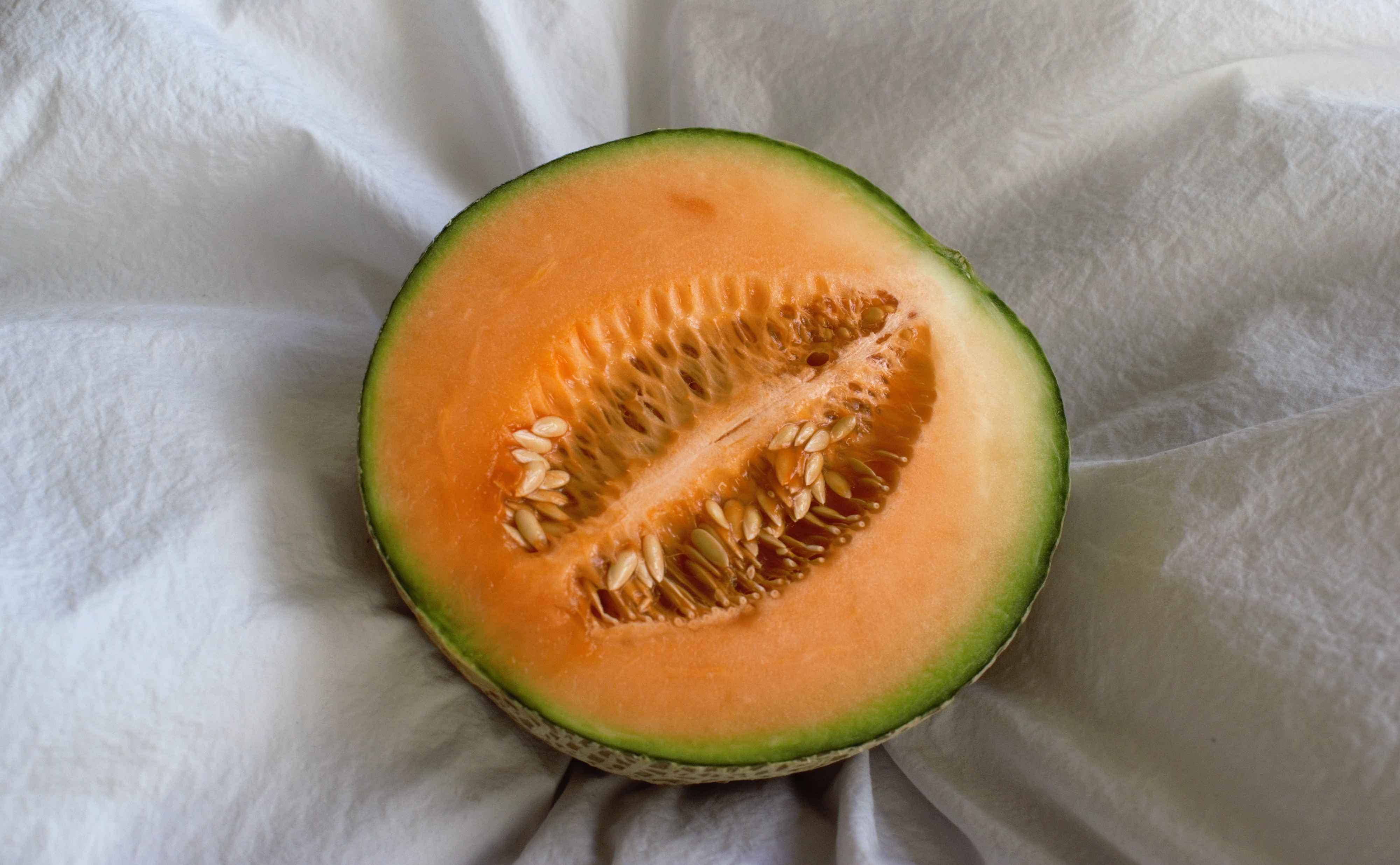 Cantaloupe