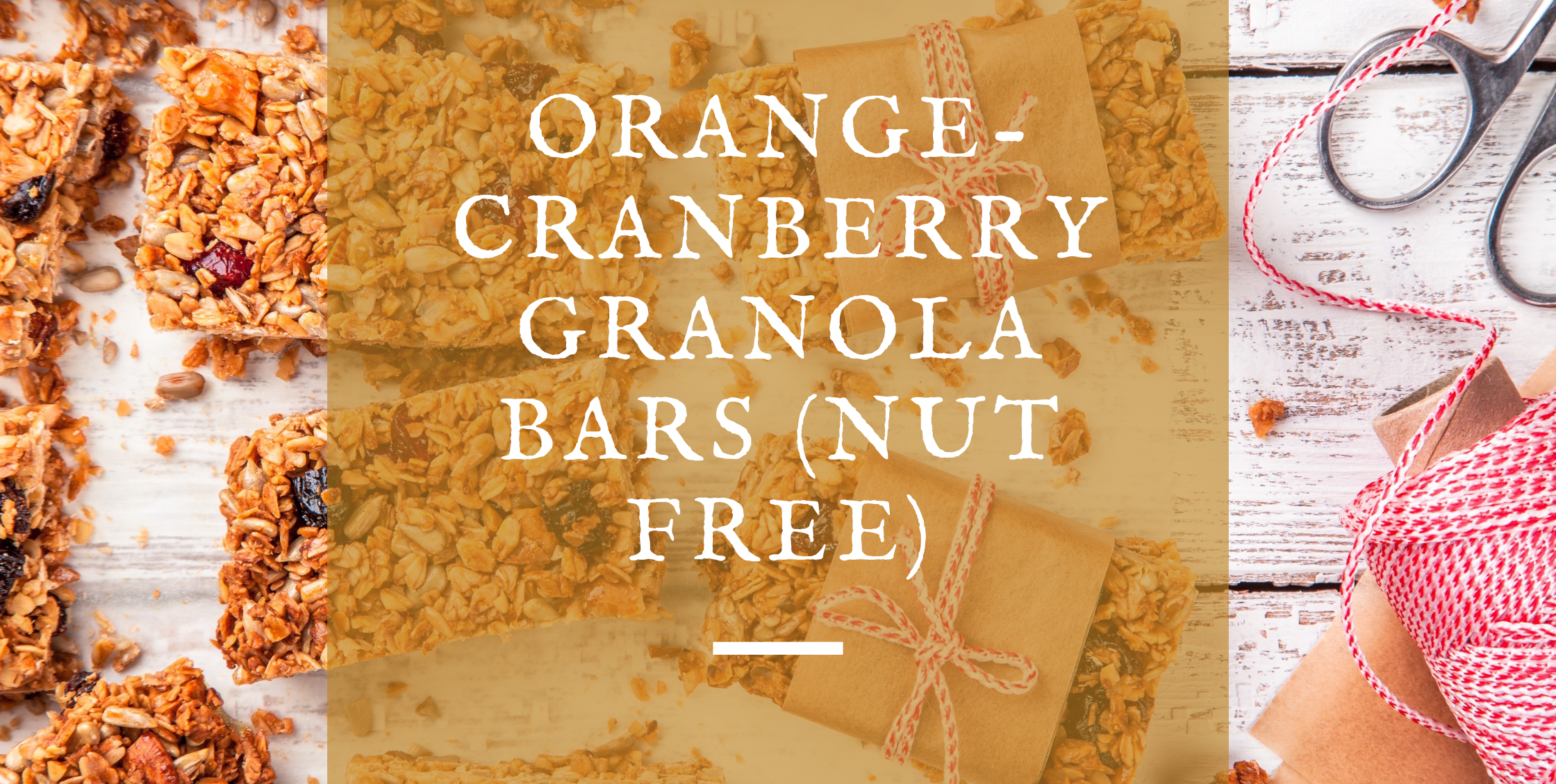 Orange-Cranberry Granola Bars (Nut Free)