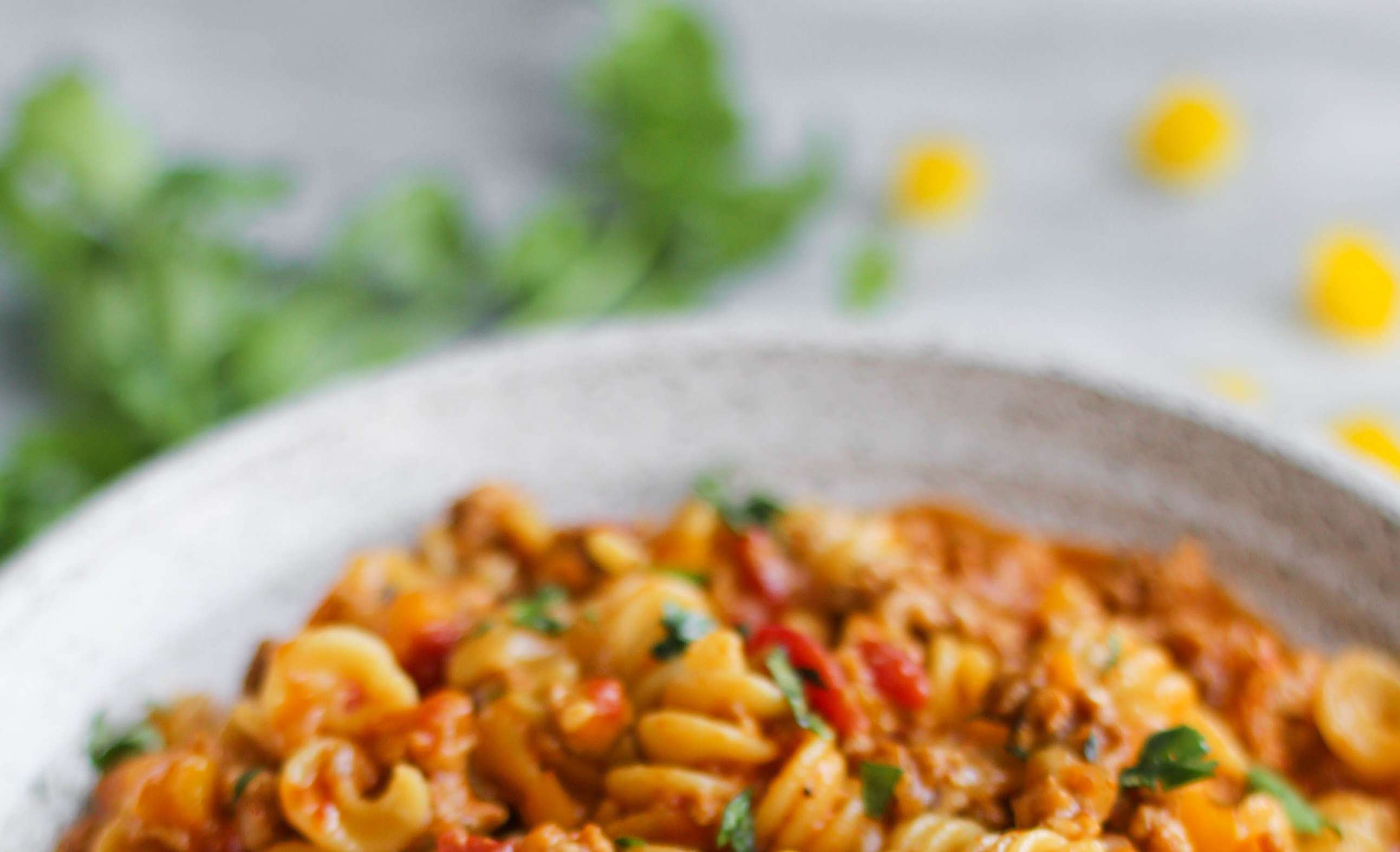 Turkey & Red Lentil Noodles