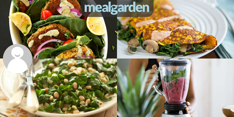 Vegan 40/30/30 - MealGarden